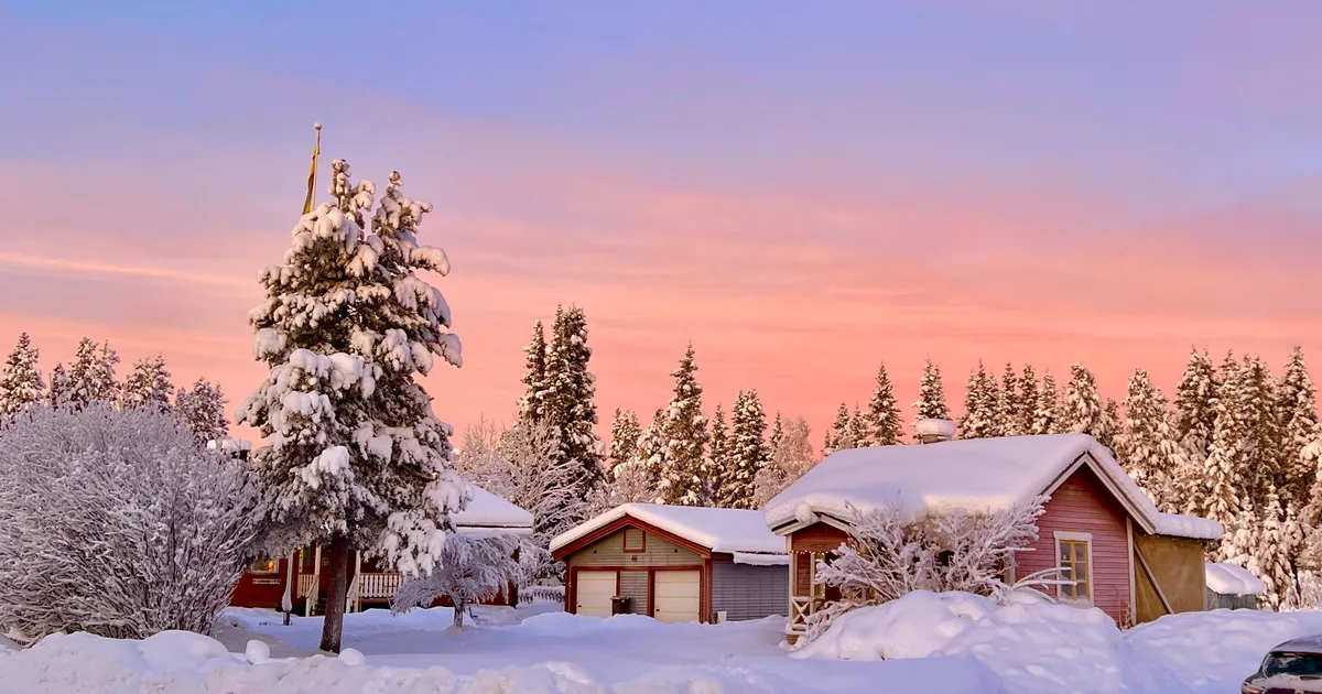 Lõvile pakuvad huvi teiste inimeste saladused, Sõnni päeva sobiks visiit lapsepõlvekoju