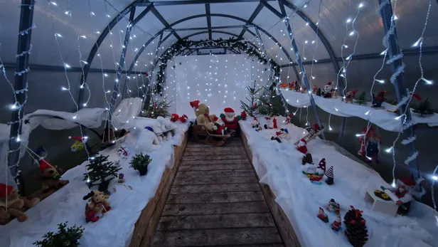 Kui suvel kasvavad Tori lasteaia kasvuhoones kurgid, tomatid ja maitsetaimed, siis talveks oli see saanud täiesti uue ilme.