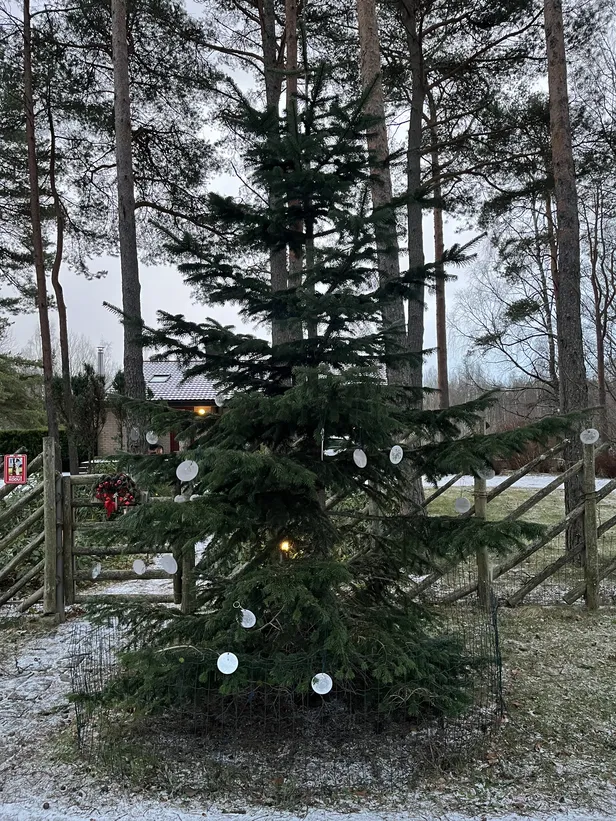 Möödujad on palutud ennast helkuriga varustama.