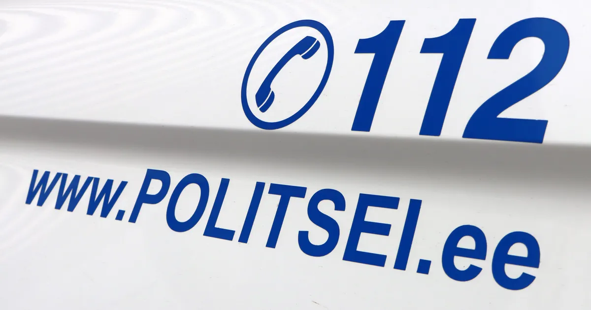 POLITSEI ⟩ Naine ähvardas möödujaid elektrišokiga