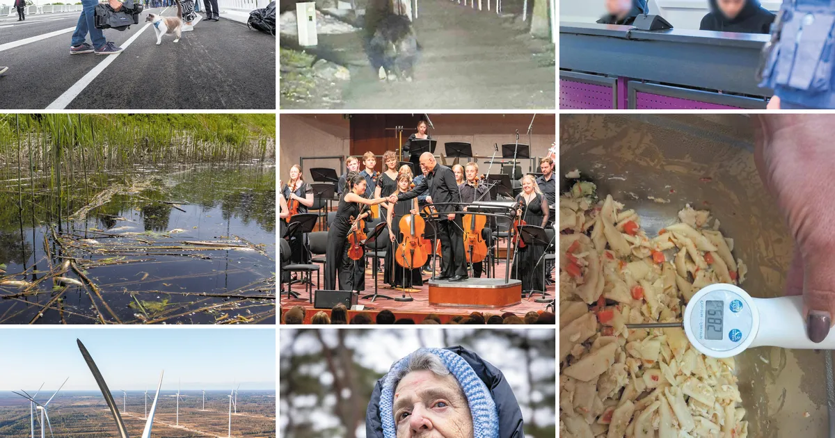 Valik 2025. aastal ilmunud lehelugusid, mis kõnetasid lugejaid - Pärnu Postimees