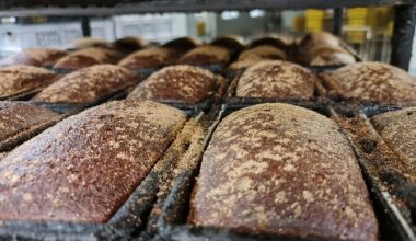 Leivajuuretise bakterid võivad toidutootmise muuta jätkusuutlikumaks | Tehnika