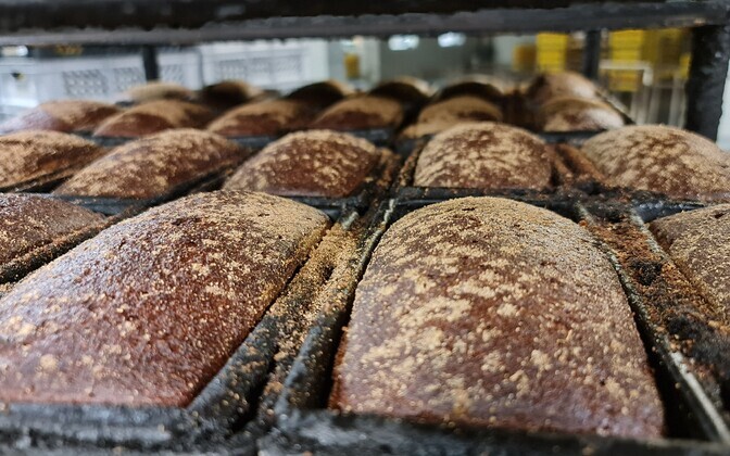 Leivajuuretise bakterid võivad toidutootmise muuta jätkusuutlikumaks | Tehnika