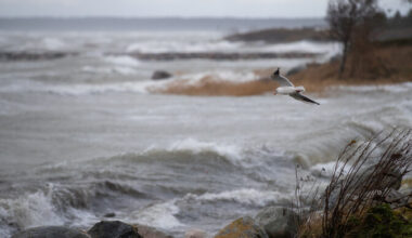 Teisipäeval on ilm vihmane ja tuuline | ilm