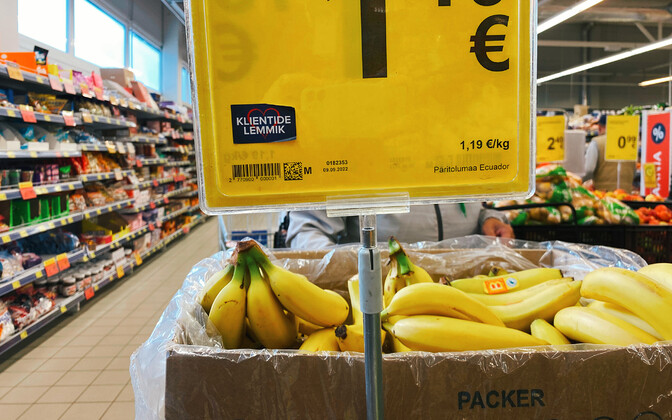 Kiirhinnang: hinnad tõusid aastaga 4,7 ja langesid novembris 0,5 protsenti | Majandus