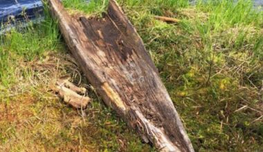 FOTO | Erakordne leid! Avastati Eesti alade vanim teadaolev veesõiduk, mis pärineb Rooma rauaajast