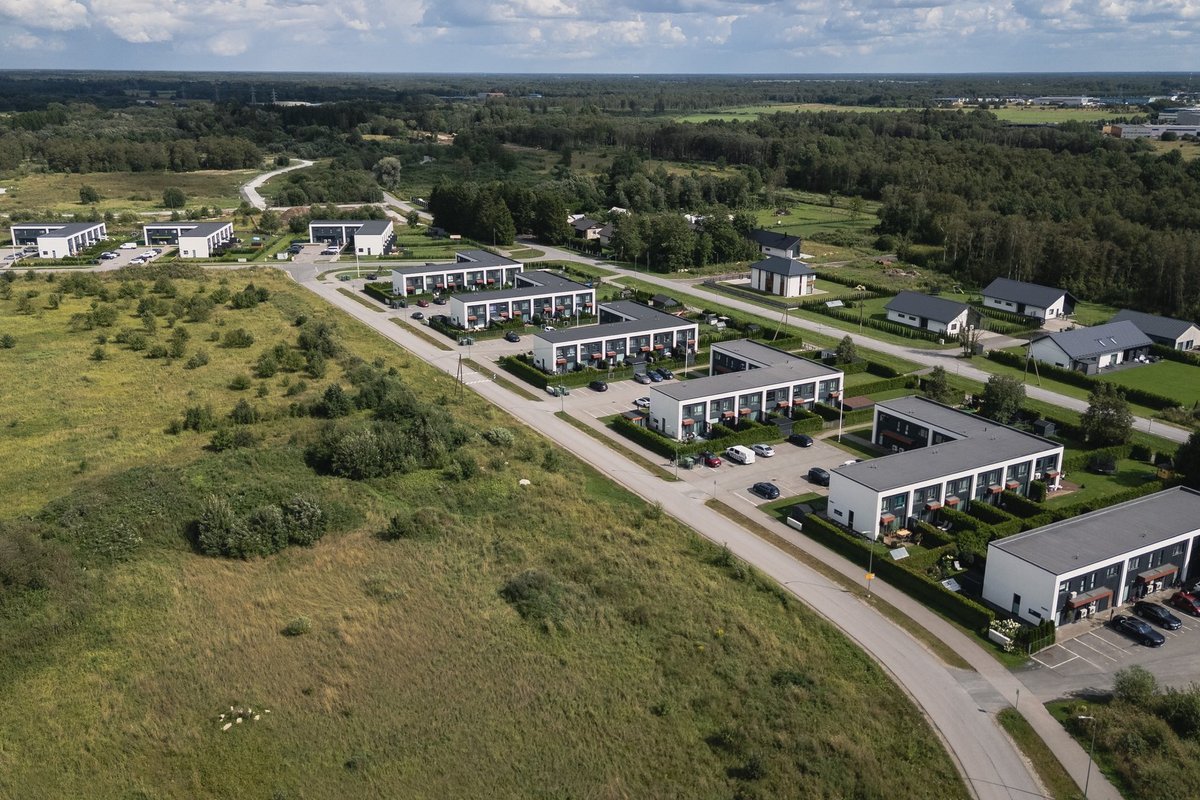 Töötu, kuid sularaha on? Nupukad on leidnud viisi kuidas ettevõtjast sõbra abiga saada kodulaenu