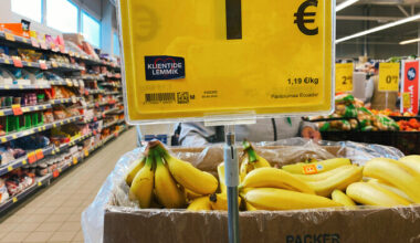 Kiirhinnang: hinnad tõusid aastaga 4,7 ja langesid novembris 0,5 protsenti | Majandus