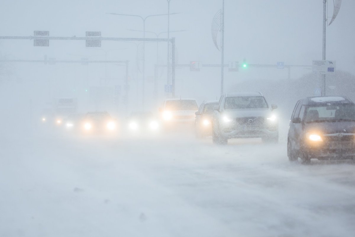 DETSEMBRI ILM | Talvine külmus saabub kuu lõpus. Kas jõulud tulevad valged? - Maaleht