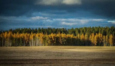 Kas on üllatusi? Maksuameti lehel saab juba näha, kui suur maamaks sind tuleval aastal ootab