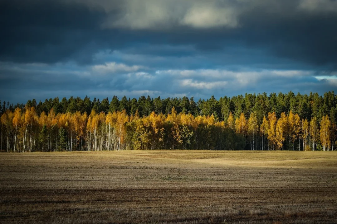 Kas on üllatusi? Maksuameti lehel saab juba näha, kui suur maamaks sind tuleval aastal ootab