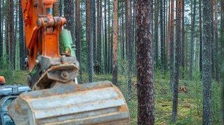 Foto: Hendrik Tali/ RKIK