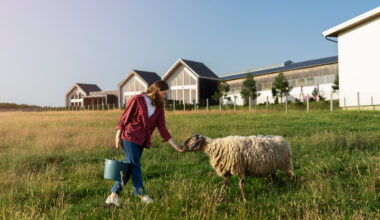 Eluaseme kaaslaenu meede aitab maale kodu rajada