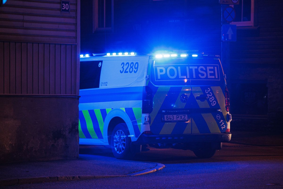 Politsei: pühade ajal on ligi 50 lähisuhtevägivalla juhtumit päevas