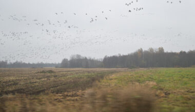Lätis mõõdeti 10. detsembri soojarekord | Välismaa