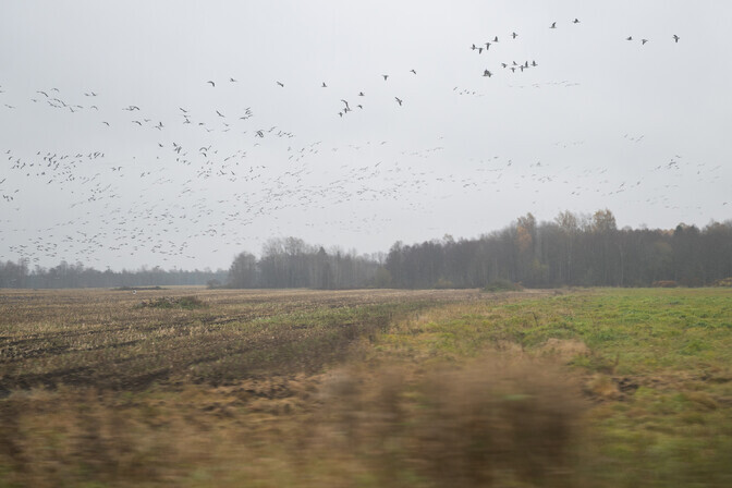 Lätis mõõdeti 10. detsembri soojarekord | Välismaa