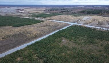 RKIK loodab nelja kaitsetööstusettevõttega lepingud sõlmida veel sel aastal | Eesti