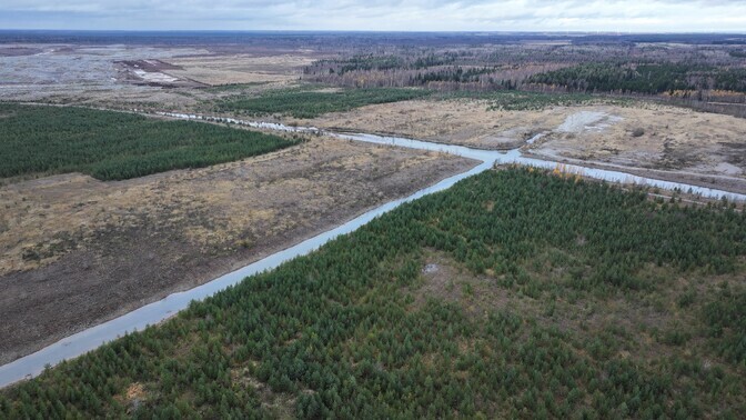 RKIK loodab nelja kaitsetööstusettevõttega lepingud sõlmida veel sel aastal | Eesti