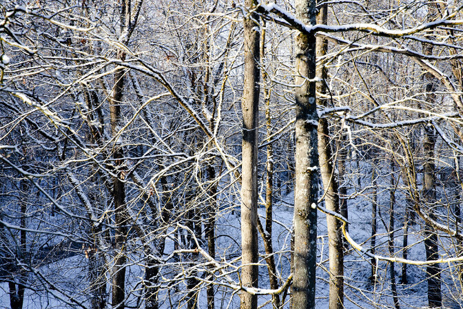 Bioloog: looduskaugus vähendab ühiskonna ökoloogilist kirjaoskust | Loodus