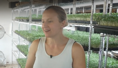 Jaagu talu perenaine: pole asja, mida Eestis kasvatada ei saaks | Tele