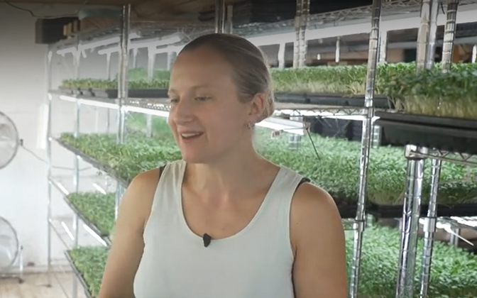 Jaagu talu perenaine: pole asja, mida Eestis kasvatada ei saaks | Tele