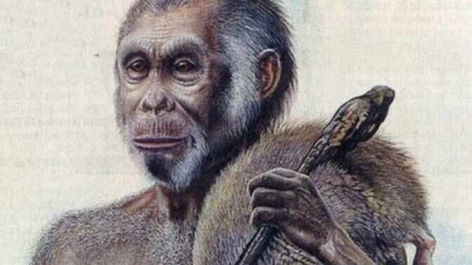 Uuring: Florese kääbikud surid välja ilmselt pika põua tõttu | Ajalugu