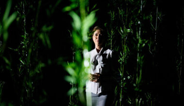 Rakvere Teatris esietendub pingelisi peresuhteid lahkav "Sügissonaat" | Teater