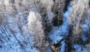 Kikepera looduskaitsealal toimuvad soostamise tööd peatati | Eesti