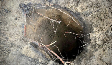 Ligi 180 migranti üritas salajase tunneli kaudu Poola tungida | Välismaa