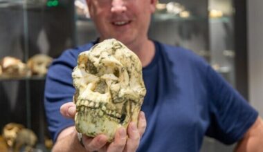 Mõistatuslik Aafrika luustik võis kuuluda seni teadmata inimliigile | Ajalugu