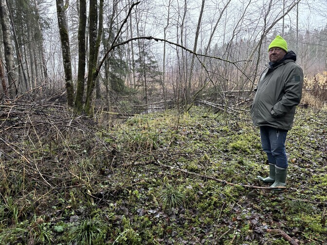 Põlvamaalaste jaoks jääb RMK märgalade taastamise plaan arusaamatuks | Eesti