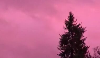 Suurbritanniat kattis kolmapäeval haruldane roosa udu | Välismaa