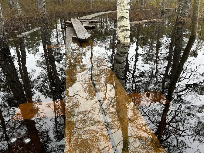 Galerii: Selisoo matkarada on osaliselt vee all | Eesti