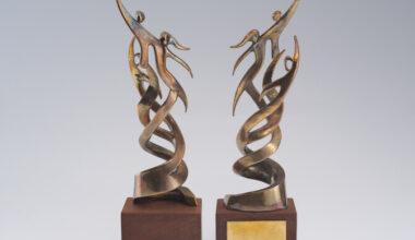 Aasta parasportlased pälvivad esmakordselt eraldi taiese | Parasport