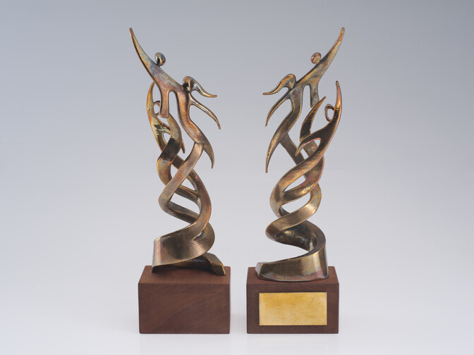 Aasta parasportlased pälvivad esmakordselt eraldi taiese | Parasport