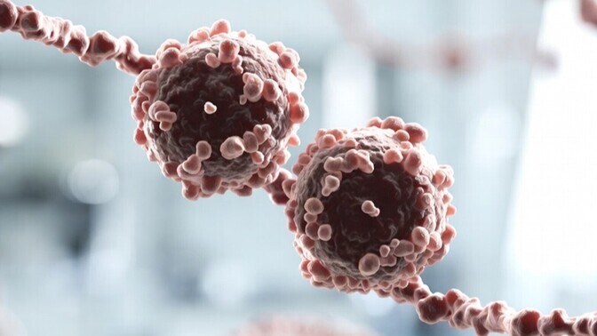 Ribosoomide vahel valitseb kibe konkurents | Loodus