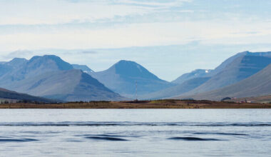 Islandil mõõdeti jõululaupäeval pea 20 kraadi sooja | Välismaa
