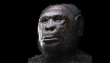 Aafrikast võib olla välja rännanud arvatust rohkem inimliike | Ajalugu