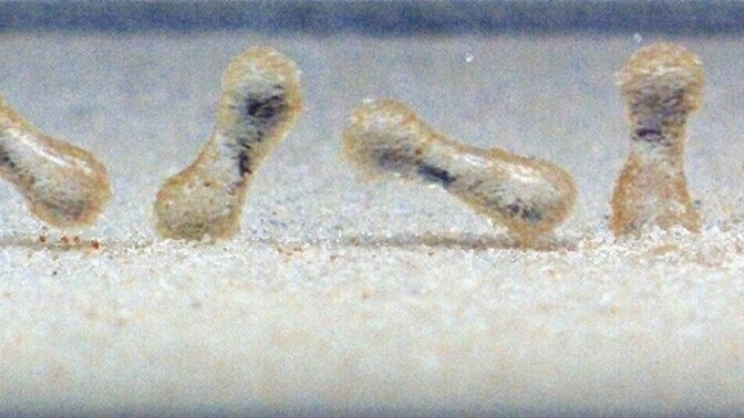 Liivased veepiisad kulutavad mägesid | Loodus