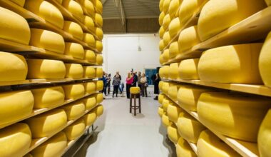 Valio uude lattu mahub küpsema 110 000 prisket juustukera