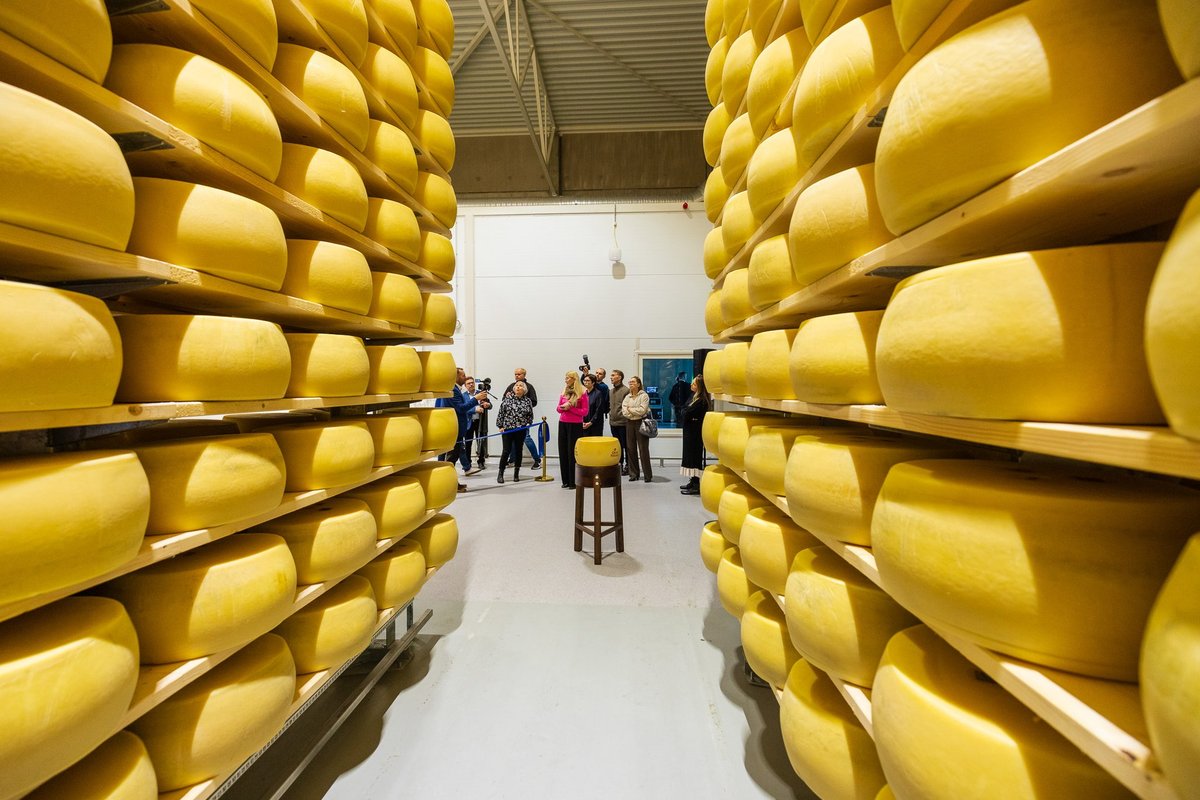 Valio uude lattu mahub küpsema 110 000 prisket juustukera