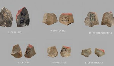 Usbekistani koopaleiud viitavad, et inimese eellane võttis vibu kasutusele arvatust 6000 aastat varem