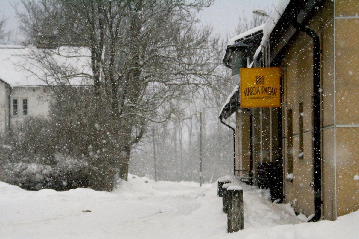 Saaremaa ainsal leivatööstusel on vesi ahjus. Pereettevõte on sunnitud oma töötajad koondama