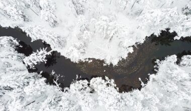 Värske prognoos: milline tuleb jõuluilm sellel aastal?