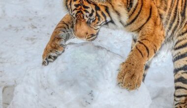 KALKULAATOR | Kui palju peaks investeerima, et pensioniajaks miljonäriks saada?