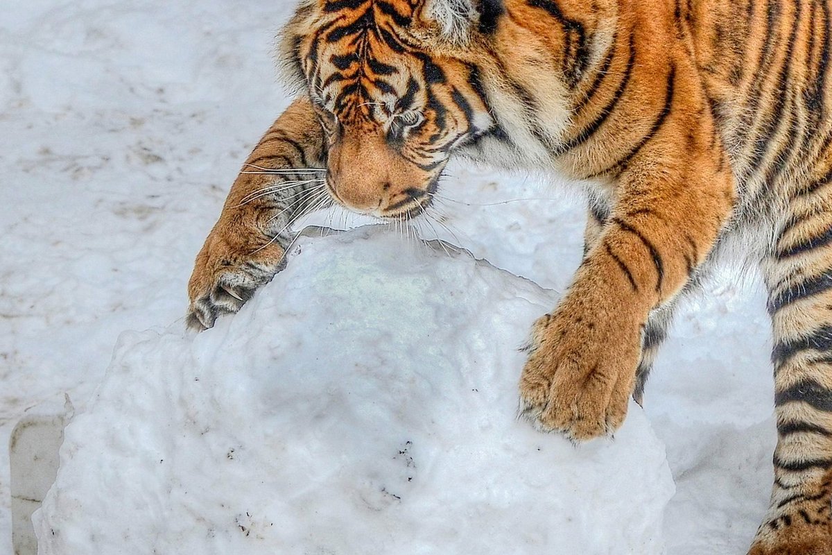 KALKULAATOR | Kui palju peaks investeerima, et pensioniajaks miljonäriks saada?