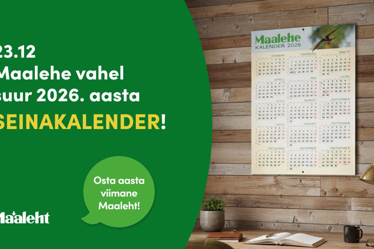 Maalehe seinakalender ilmub aasta viimase lehe vahel