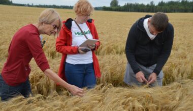 Marju Reitsak: viljelusvõistlus alati olnud midagi enamat kui numbrite rida tabelis