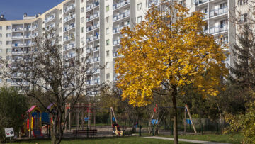 Kes on korteriühistu valitseja ja millised on tema õigused ning kohustused?