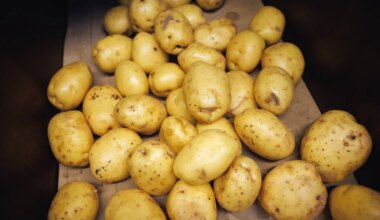 Maaelu Edendamise Sihtasutus nõuab lepingute täitmist